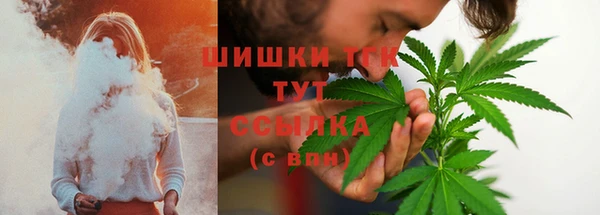 гашик Бронницы