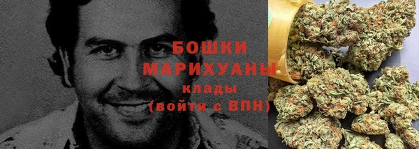 гидропоника Бородино