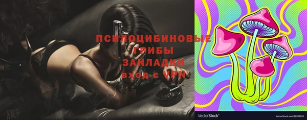 прущие грибы Сафоново