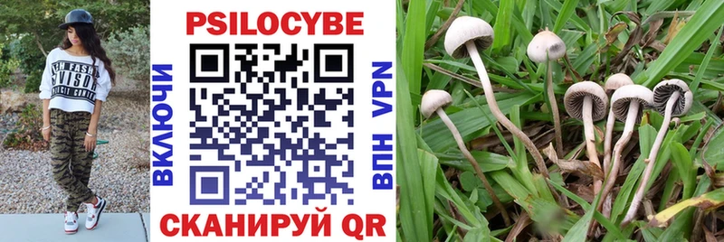 дарк нет официальный сайт  Дагестанские Огни  Галлюциногенные грибы MAGIC MUSHROOMS  mega онион 