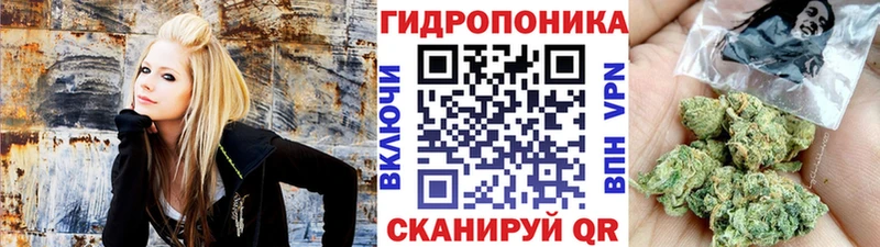 hydra tor  купить  сайты  Дагестанские Огни  Каннабис Amnesia 